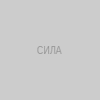 Руна Сила