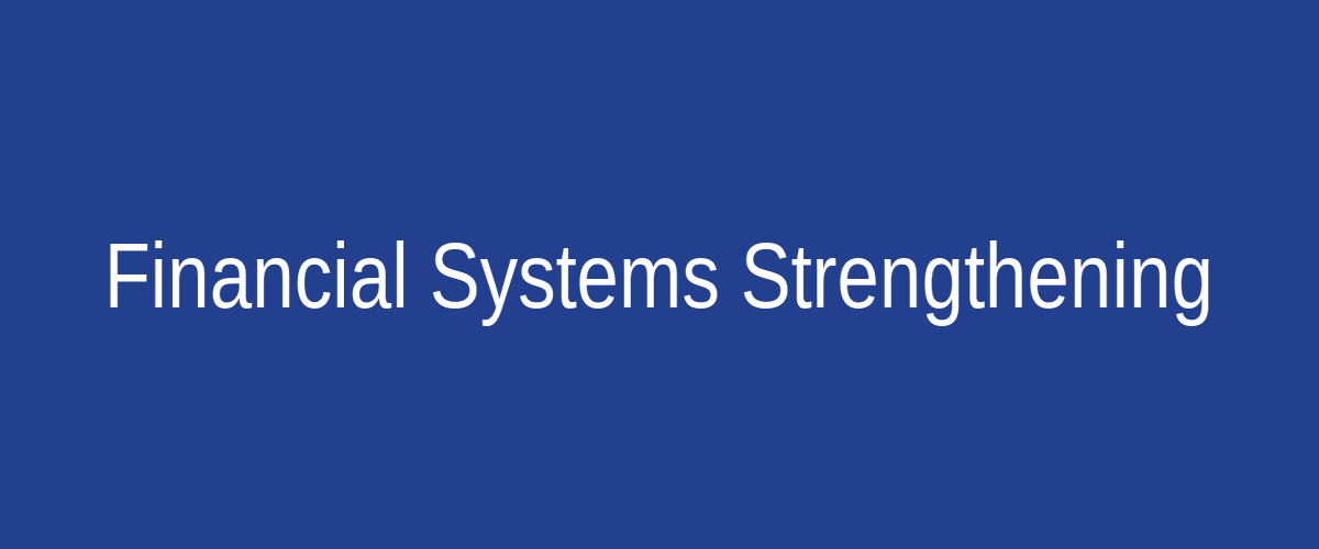 Financial Systems Strengthening