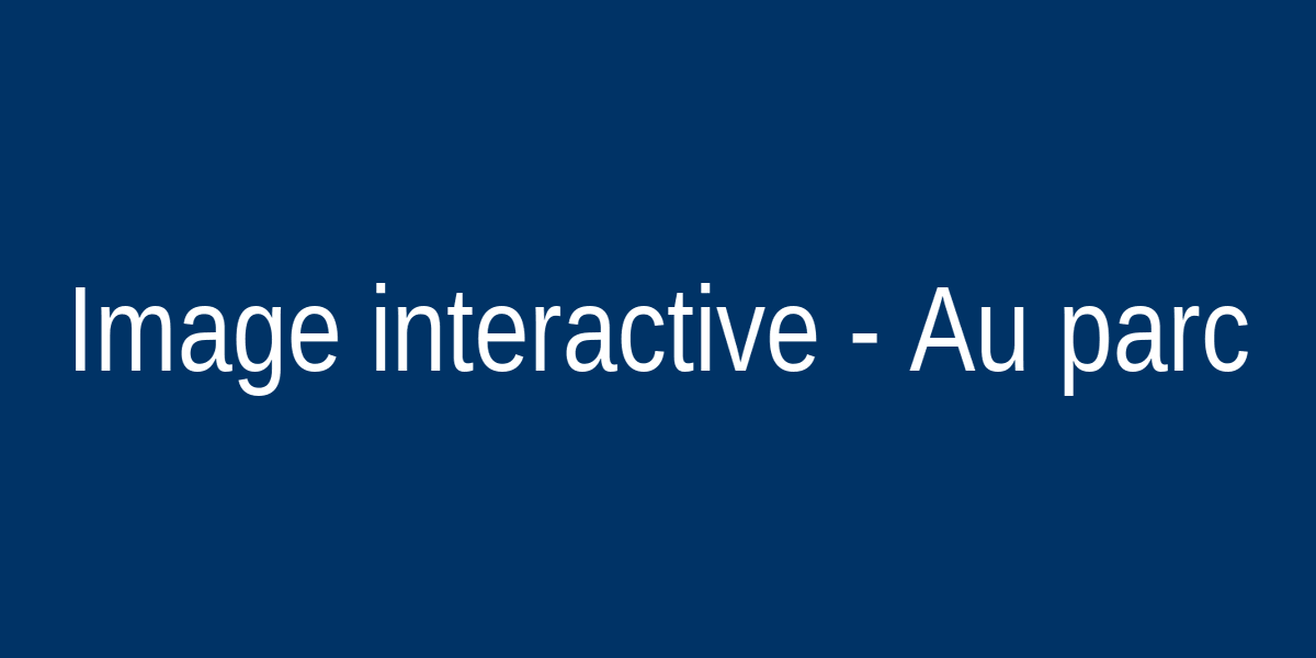 Au parc interactive