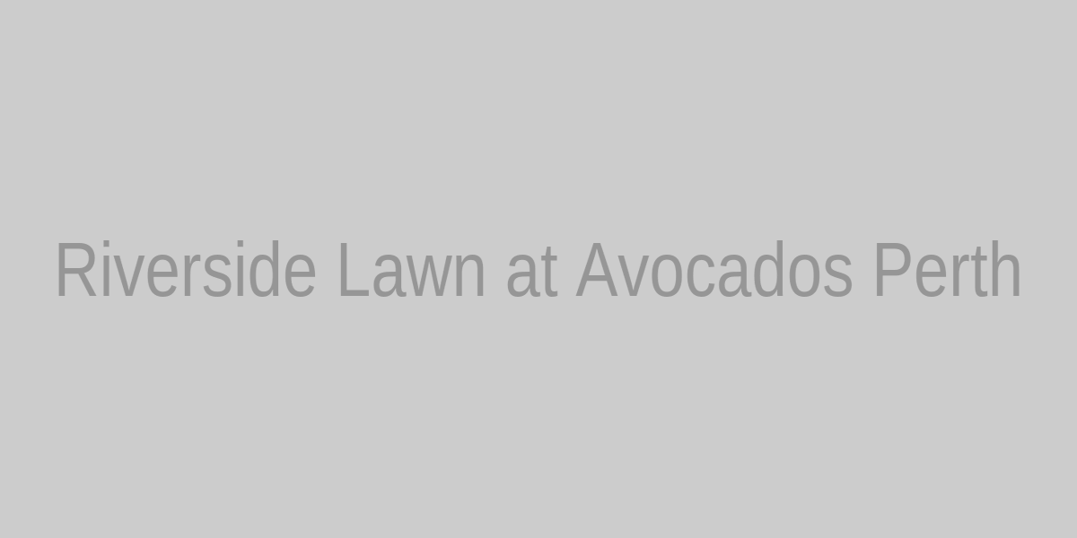 Riverside lawn at Avocados Perth with mature gum trees and the Canning River glistening at sunset.