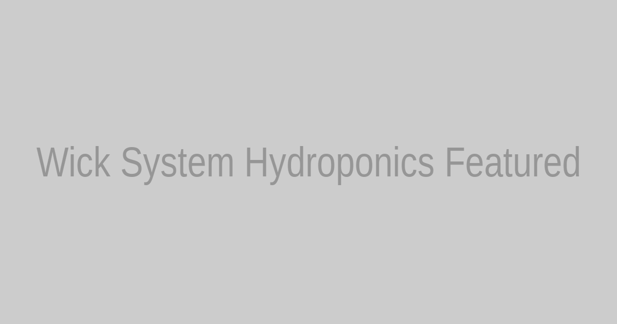 Wick System Hydroponics Veggies for Budget Enthusiasts: Low-Budget & Beginner Setup optimization & advanced