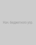Начальник бюджетного управления
