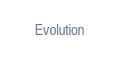 Evolution Gaming