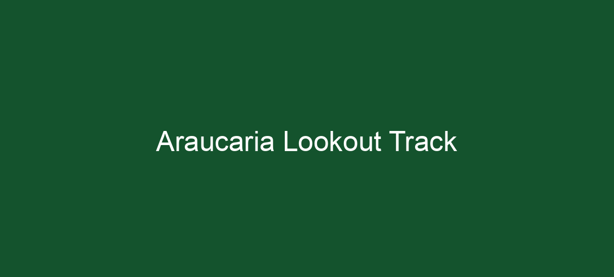 Araucaria Lookout Track