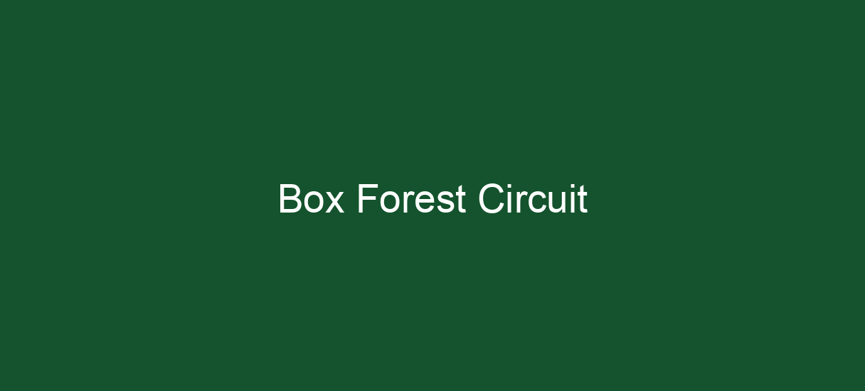 Box Forest Circuit