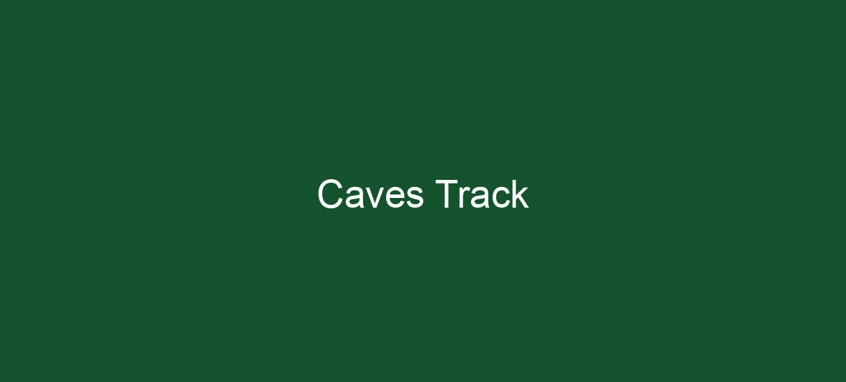 Caves Track