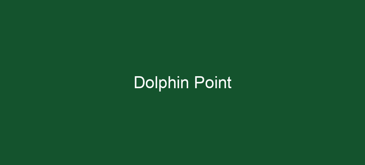 Dolphin Point