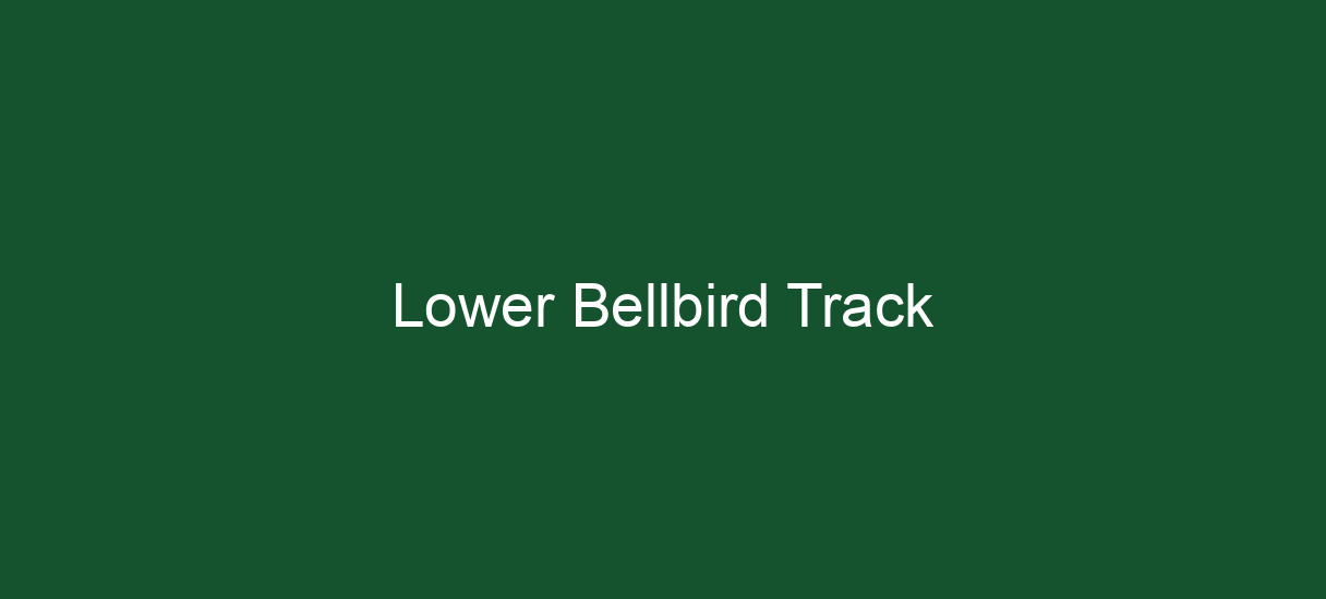 Lower Bellbird Track