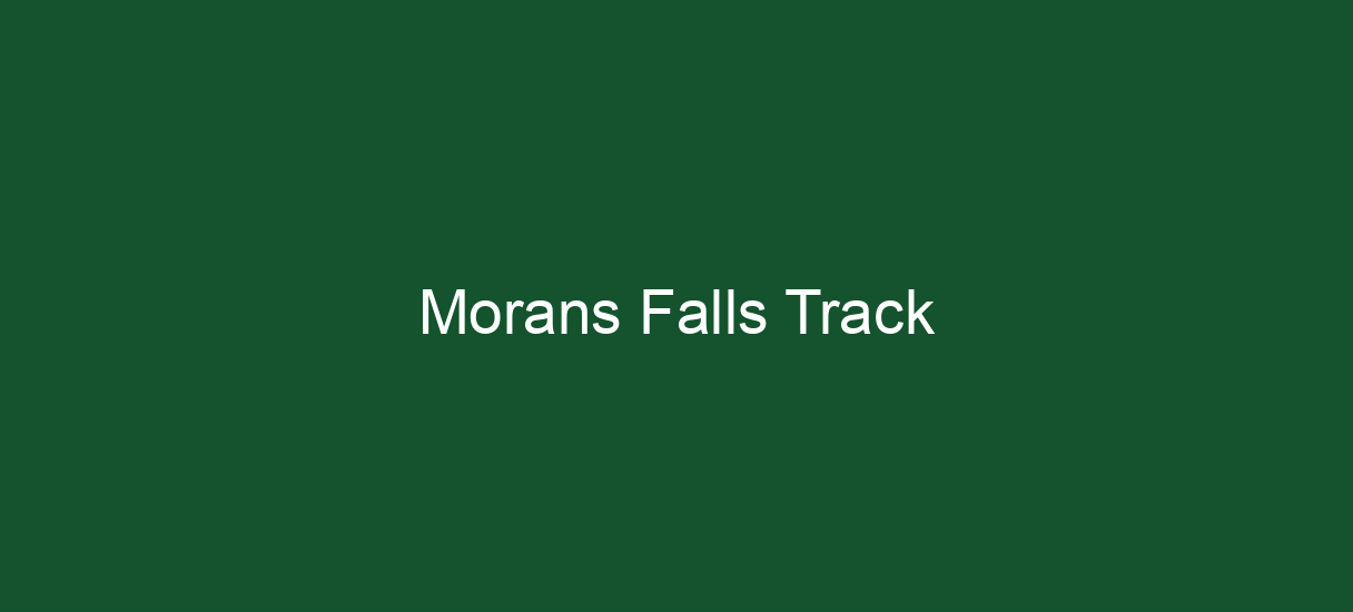 Morans Falls Track