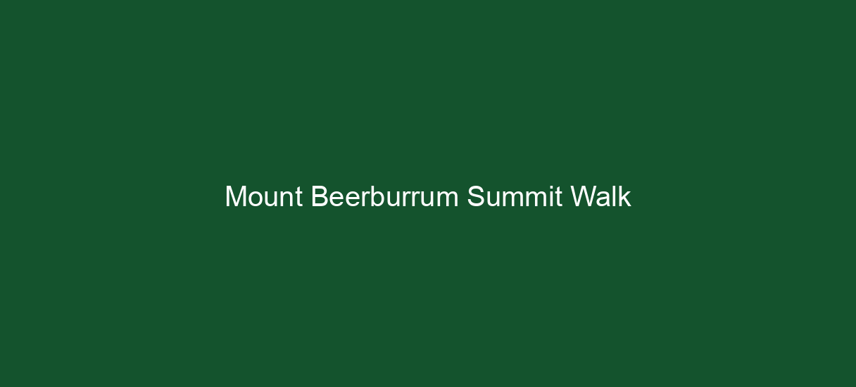 Mount Beerburrum Summit Walk