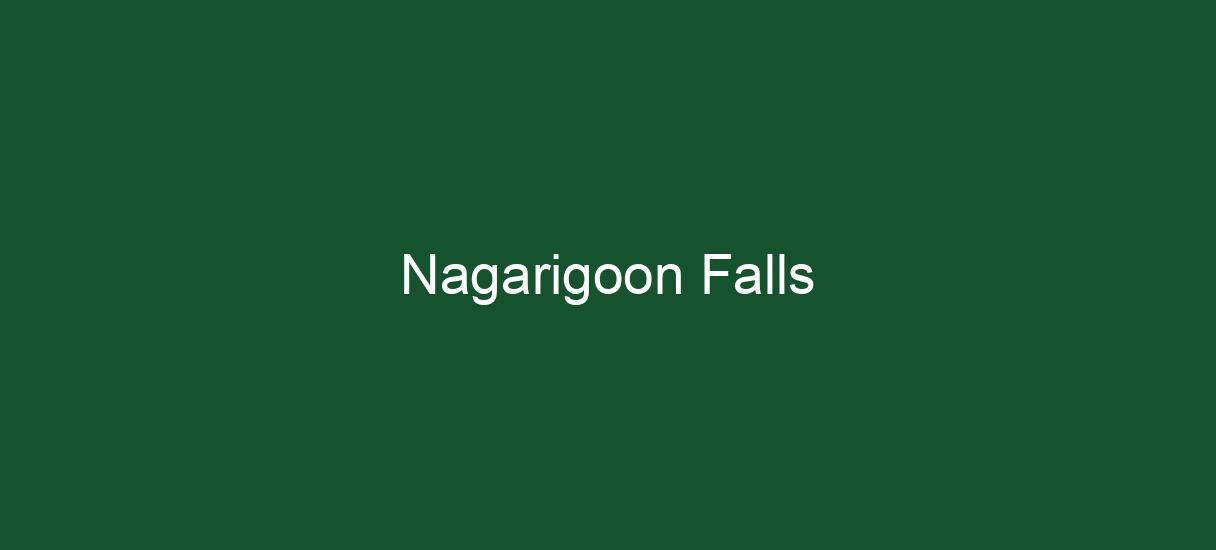 Nagarigoon Falls