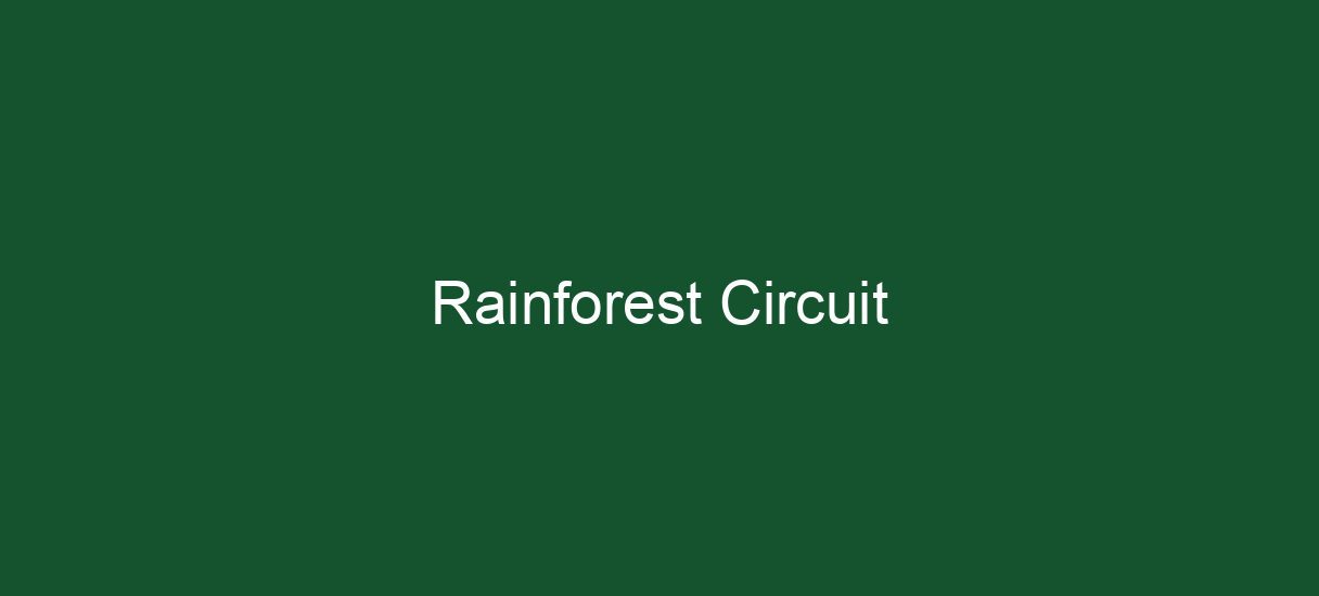 Rainforest Circuit