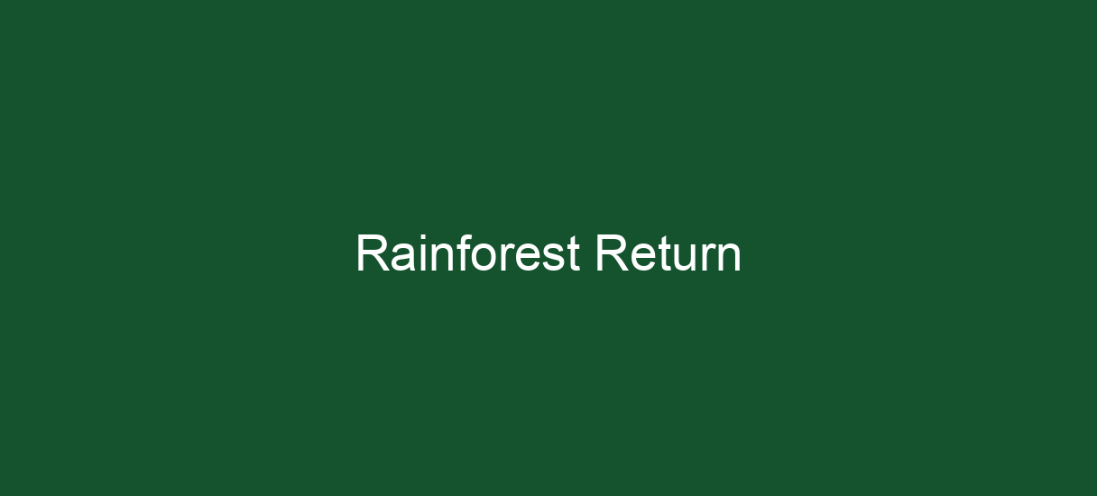 Rainforest Return