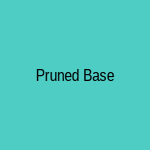 Pruned tomato seedling