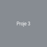Proje 3