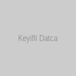 Datça Palamutbükü Taksi İşletme Logosu