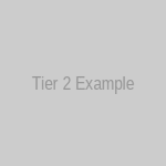 Tier 2 Example