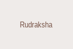 Rudraksha