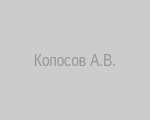 Оперативный дежурный Копосов Алексей Валерьевич