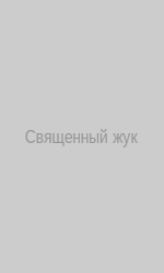 Священный жук