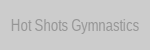 Hot Shots Logo