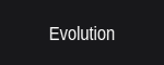 Evolution Gaming