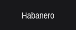 Habanero