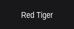 Red Tiger