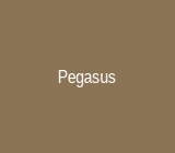 Pegasus
