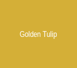 Golden Tulip Nicosia Hotel