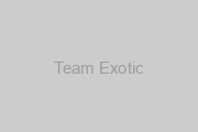 Team Exotic