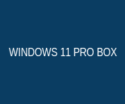 Windows 11 Pro Box