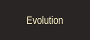 Evolution Gaming