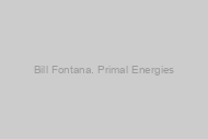 Bill Fontana. Primal Energies
