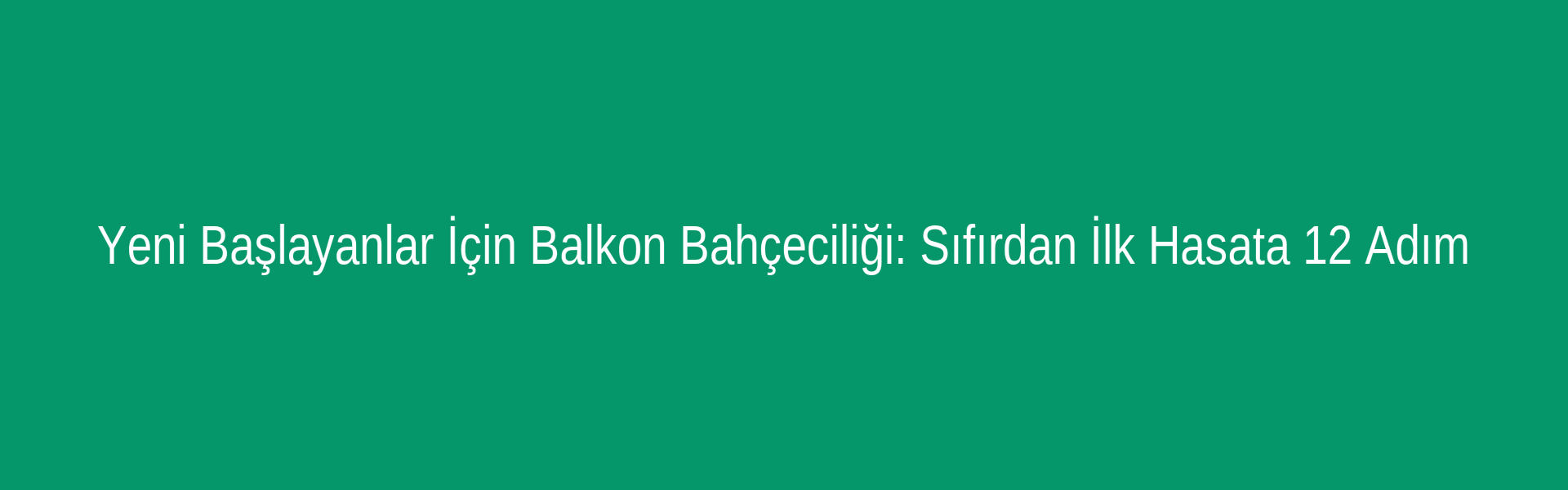 Yeni Başlayanlar İçin Balkon Bahçeciliği: Sıfırdan İlk Hasata 12 Adım