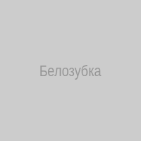 Белозубка