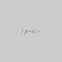 Джамик