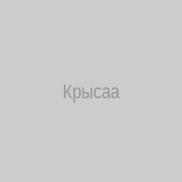 Крысаа