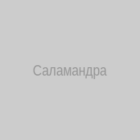 Саламандра