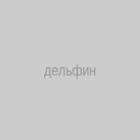 дельфин