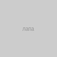 лапа