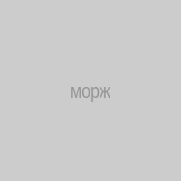 морж