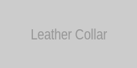 Leather Dog Collar