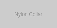 Nylon Dog Collar