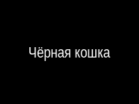 Чёрная кошка