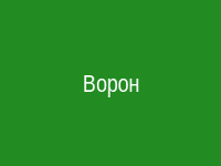 Ворон
