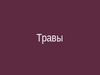 Лекарственные травы