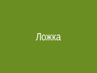Поза ложка