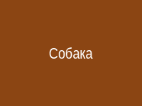 Собака