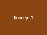 Зульфира на концерте